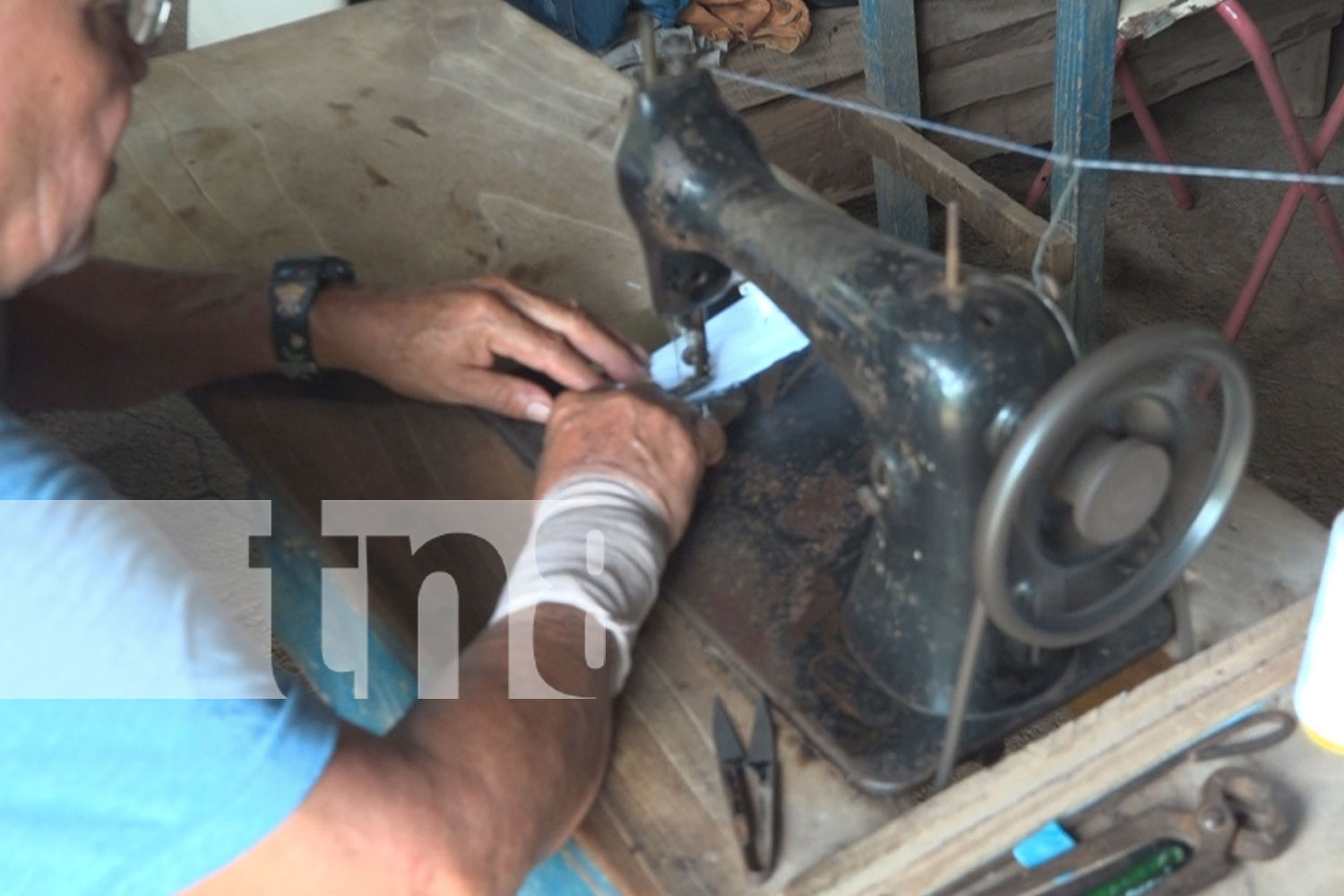 Foto: MEFCCA impulsa la producción de bambú en Palo Quemado, Diriá/TN8