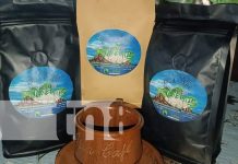 Foto: Isla Café, un emprendimiento próspero de la Isla de Ometepe / TN8