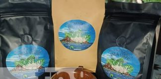 Foto: Isla Café, un emprendimiento próspero de la Isla de Ometepe / TN8