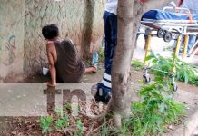 Foto: Subió a un árbol a robar mangos y cayó, resultando con lesiones en Juigalpa / TN8