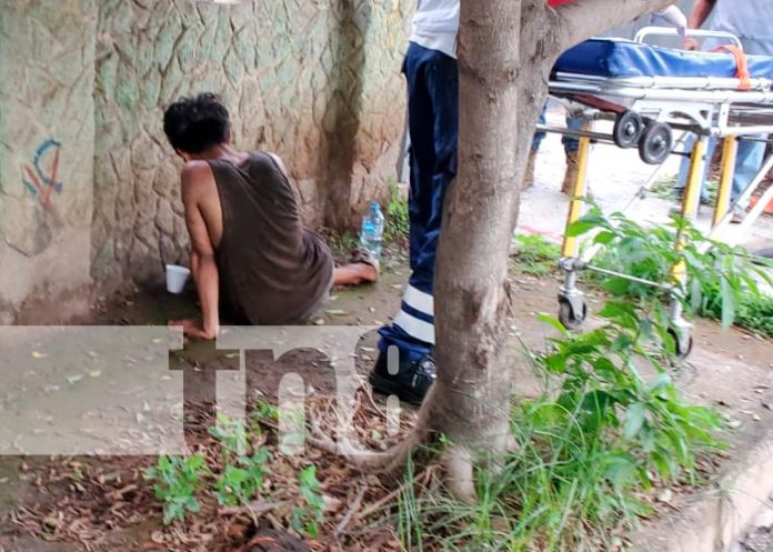 Foto: Subió a un árbol a robar mangos y cayó, resultando con lesiones en Juigalpa / TN8