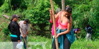 Foto: Siembran árboles frutales en sistemas Agroforestal de INATEC en Siuna/ TN8