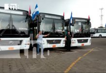 Foto:¡Mujeres conductoras! Pioneras del cambio en el transporte público de Nicaragua/ TN8