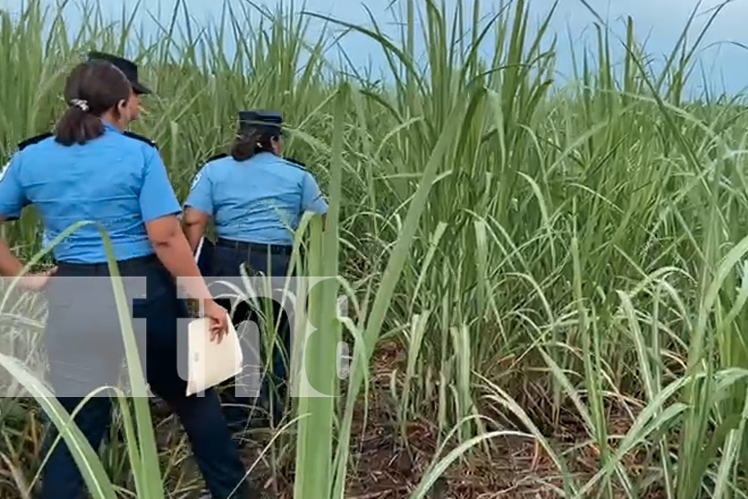 Foto: Mujer reportada como desaparecida es encontrada sin vida en el Viejo-Chinandega /TN8