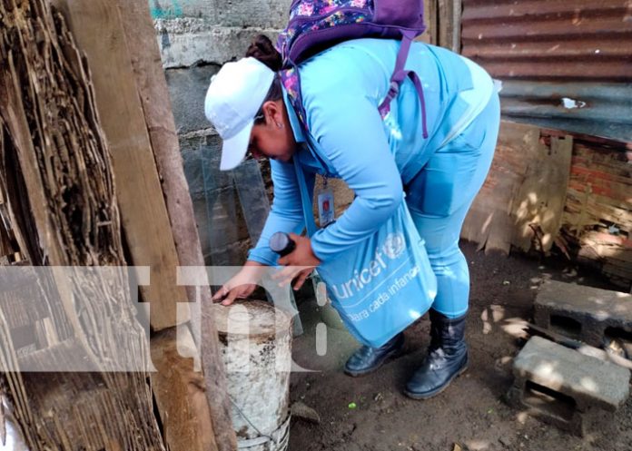 Foto: Abatización para eliminar zancudos en Managua / TN8