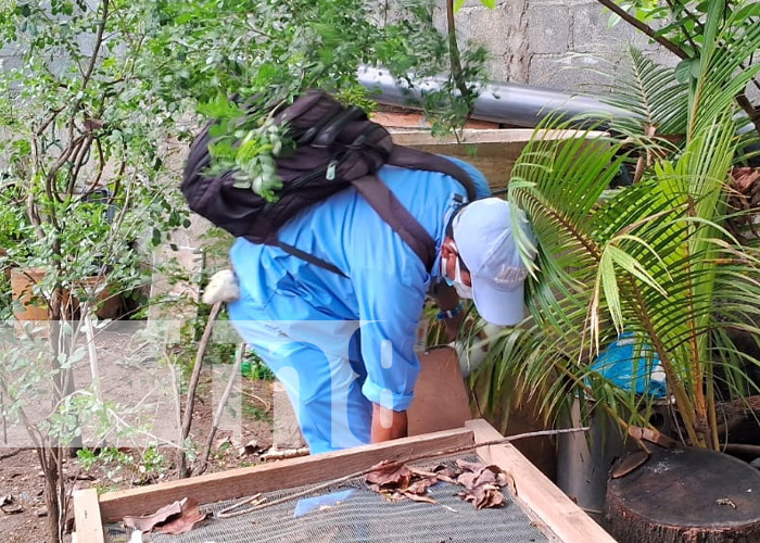 Foto: Jornada de abatización y fumigación en Managua / TN8