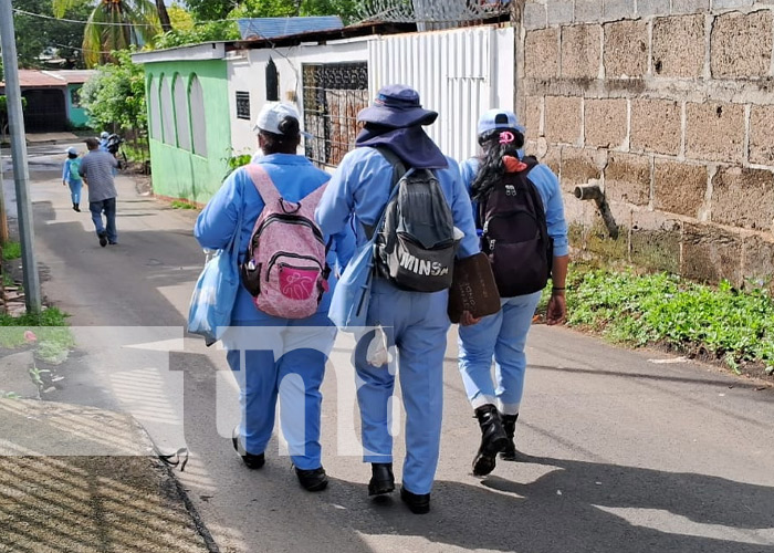 Foto: Jornada de abatización y fumigación en Managua / TN8