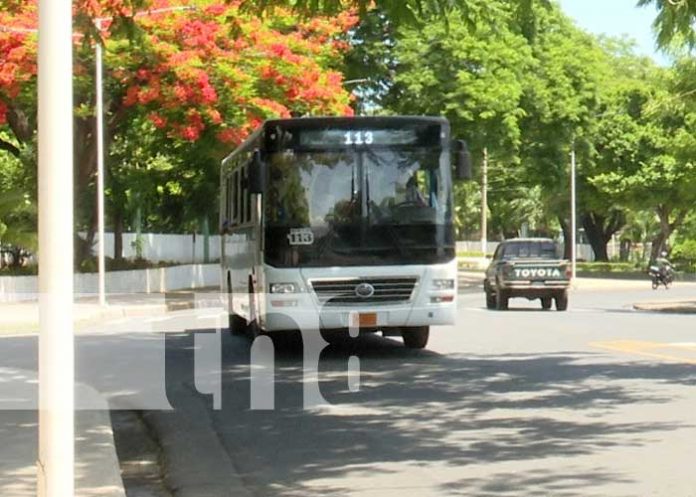 Foto: Transporte público de Managua / TN8