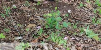 Foto: Joven que había desaparecido aparece muerto en Matiguás / TN8