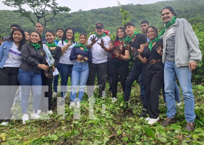 Foto: Jornada de reforestación en la Laguna de Nejapa / TN8