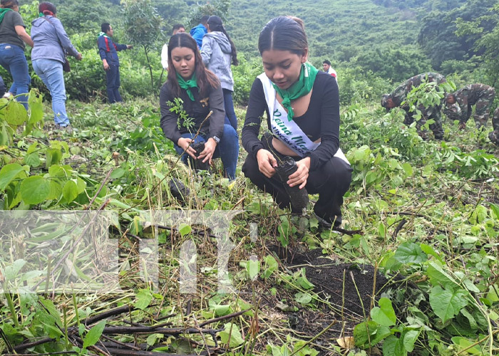 Foto: Jornada de reforestación en la Laguna de Nejapa / TN8