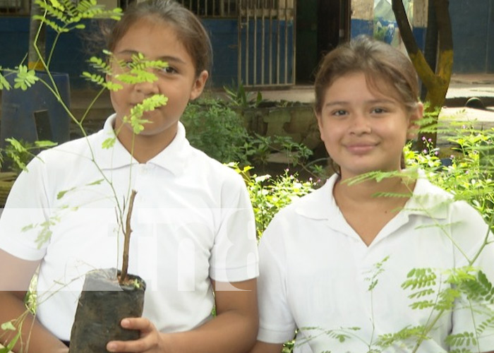 Foto: Reforestación y limpieza en el centro educativo Bello Amanecer, Ciudad Sandino / TN8