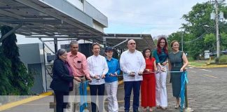 Foto: Paneles solares en la UAM / TN8