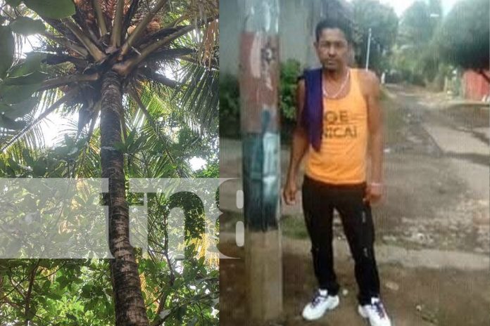 Foto: Dan el último adiós a hombre que cayó de un árbol en Rivas / TN8