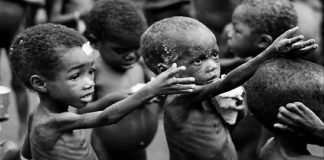 Foto: 1 de cada 11 personas en el mundo sufre hambre, según la ONU/créditos