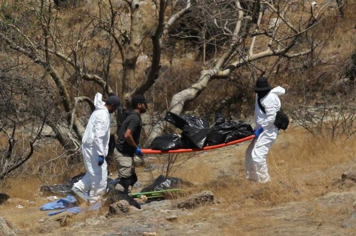 Foto: Encuentran fosa con restos humanos en Jalisco, México/Créditos