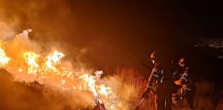 Foto: Presidente de Bolivia anuncia plan urgente para combatir incendios forestales /Créditos