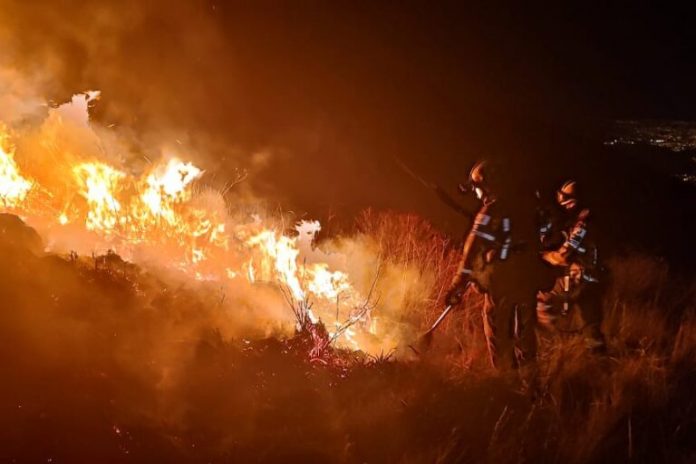 Foto: Presidente de Bolivia anuncia plan urgente para combatir incendios forestales /Créditos