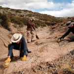 Foto: Museo digitalizará 14 mil huellas de dinosaurios/Cortesía