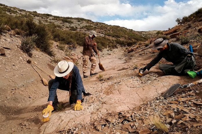 Foto: Museo digitalizará 14 mil huellas de dinosaurios/Cortesía