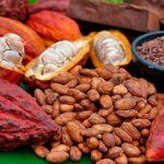 Foto: Encuentran metales pesados en alimentos derivados del cacao/Cortesía