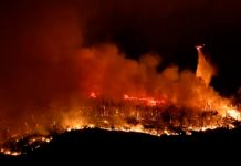 Foto: Incendio que ha arrasado con más de mil 400 hectáreas en California, Estados Unidos/Cortesía