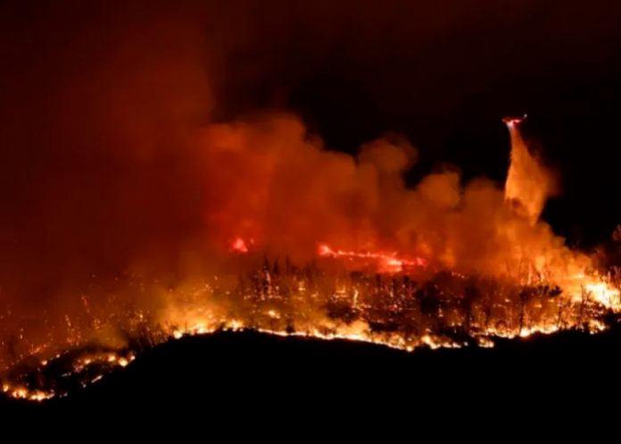 Foto: Incendio que ha arrasado con más de mil 400 hectáreas en California, Estados Unidos/Cortesía