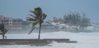 Foto: Beryl golpea con furia /cortesía