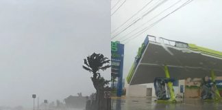 Foto: Beryl impacta en México /cortesía