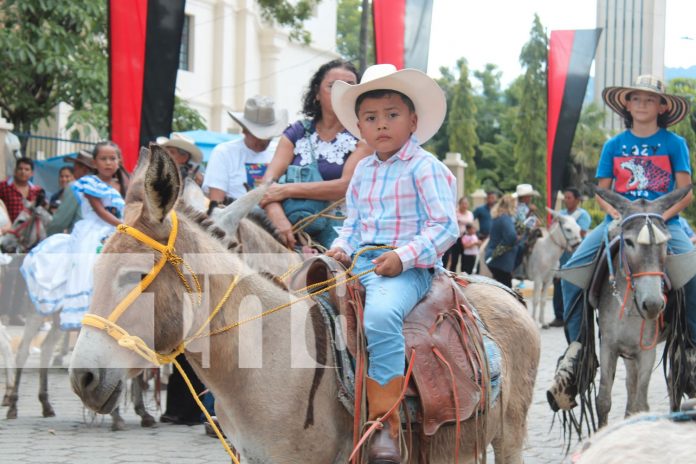 Foto: Celebran el tradicional Festival de los Burritos en la ciudad de Somoto en Madriz/TN8