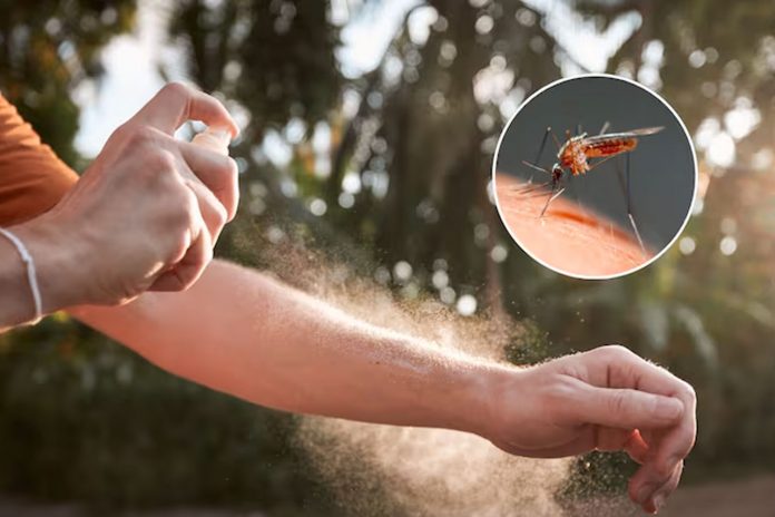 Foto: Esta es la técnica japonesa para ganarle a los mosquitos / Cortesía