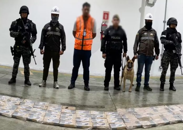 Foto: Golpe al narcotráfico en Ecuador /cortesía