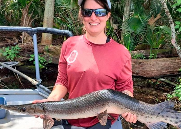 Foto: Bióloga Captura Pez 'Torcido' en Manantial de Florida/ Cortesía