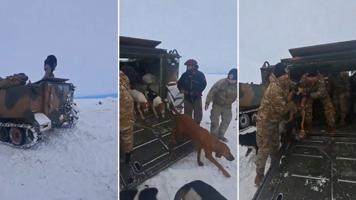 Foto: Rescatan a peón y sus perros luego de estar atrapados en la nieve un mes/Créditos