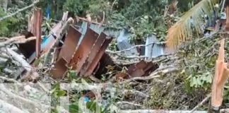 Foto: Un árbol cae y mata a un hombre de 60 años en San José de Bocay, Jinotega/TN8