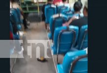 Foto: Indignación por un bus en mal estado/ TN8