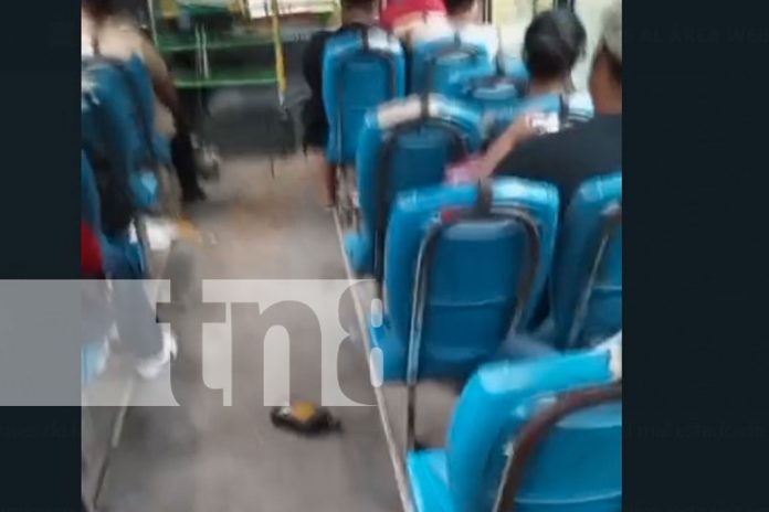 Foto: Indignación por un bus en mal estado/ TN8