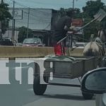 Foto: Carretonero agrede con una pala a su caballo en la pista del mercado Roberto Huembes/TN8