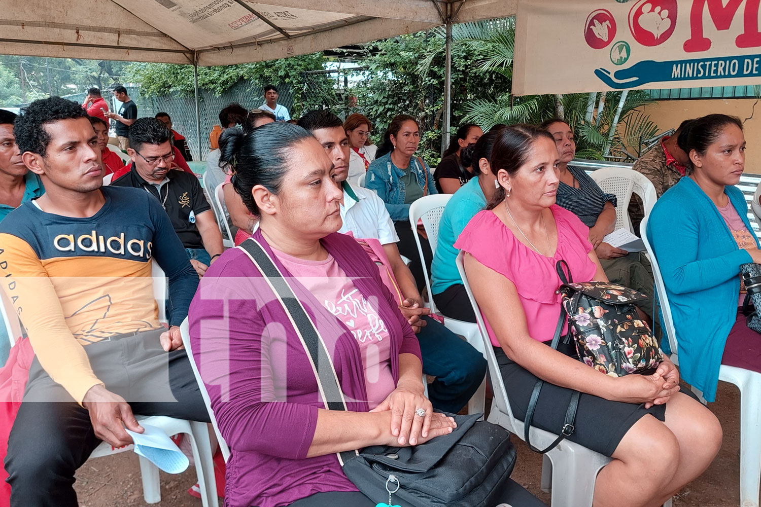 Foto: Capitalizan a familias con programas productivos en el departamento de Madriz/TN8