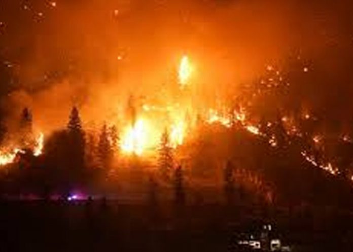 Foto: Incendio fuera de control en Canadá obliga a evacuar a más de 9,000 personas/ Cortesía