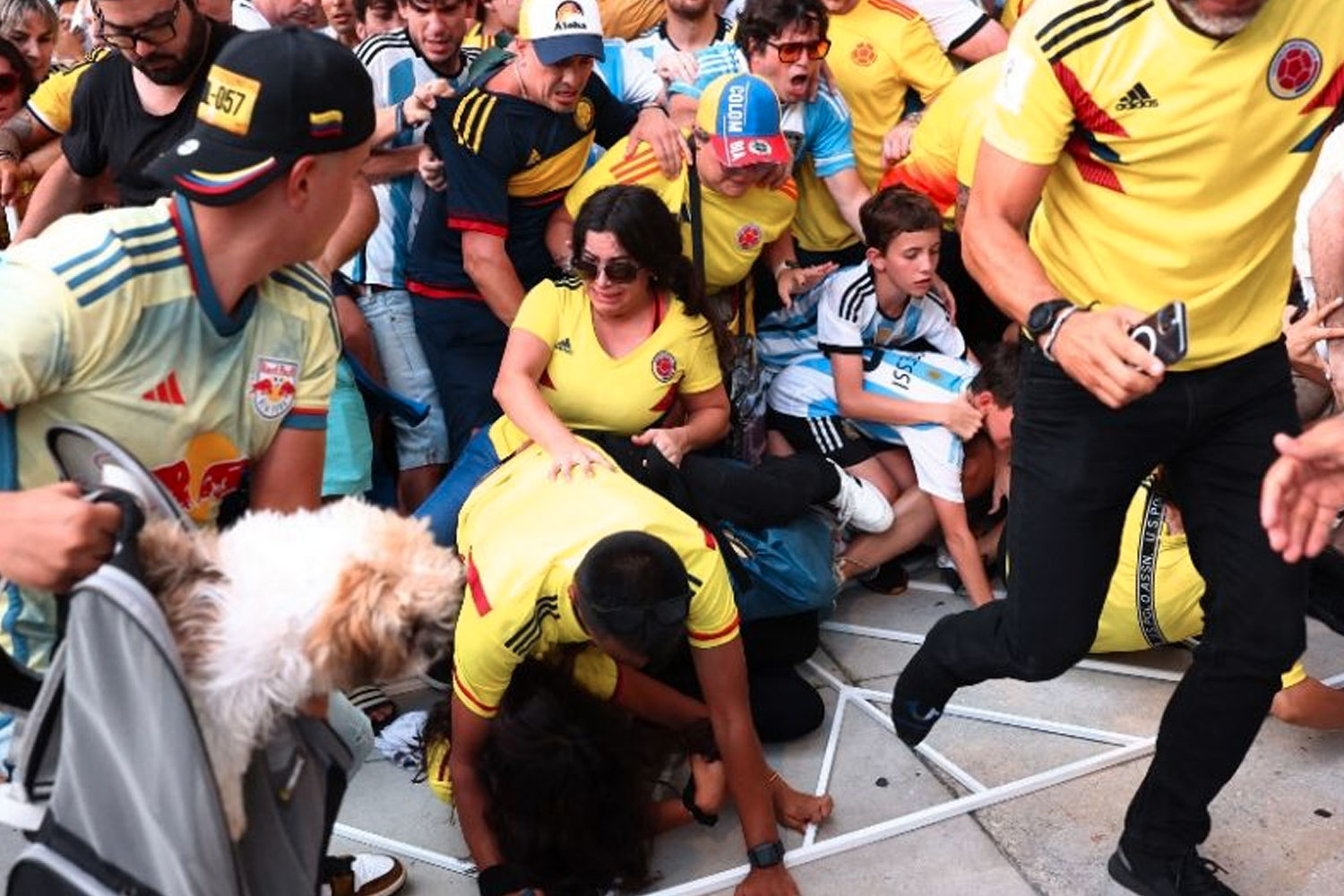 Foto: Desorganización en Miami: Incidentes previos a la final de la Copa América/TN8