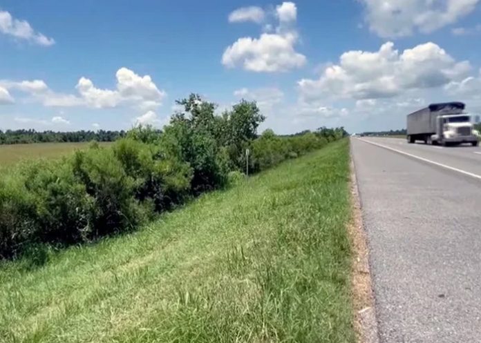 Rescató a bebé de un año abandonado en la carretera