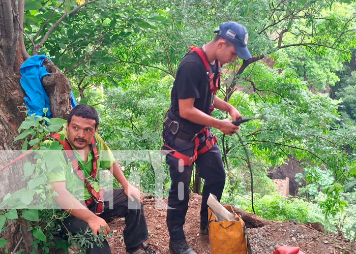 Se lleva tremendo susto en el sector de Las Piedrecitas