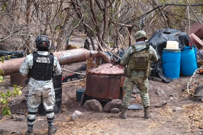 Foto: México desmantela narcolaboratorio /Cortesía