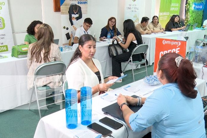 Foto: UAM lanza Programa de Pasantías 2024 para fortalecer competencias estudiantiles/TN8