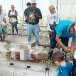 Foto: INTA capacita a familias productoras de hortalizas /TN8