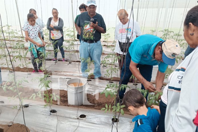 Foto: INTA capacita a familias productoras de hortalizas /TN8