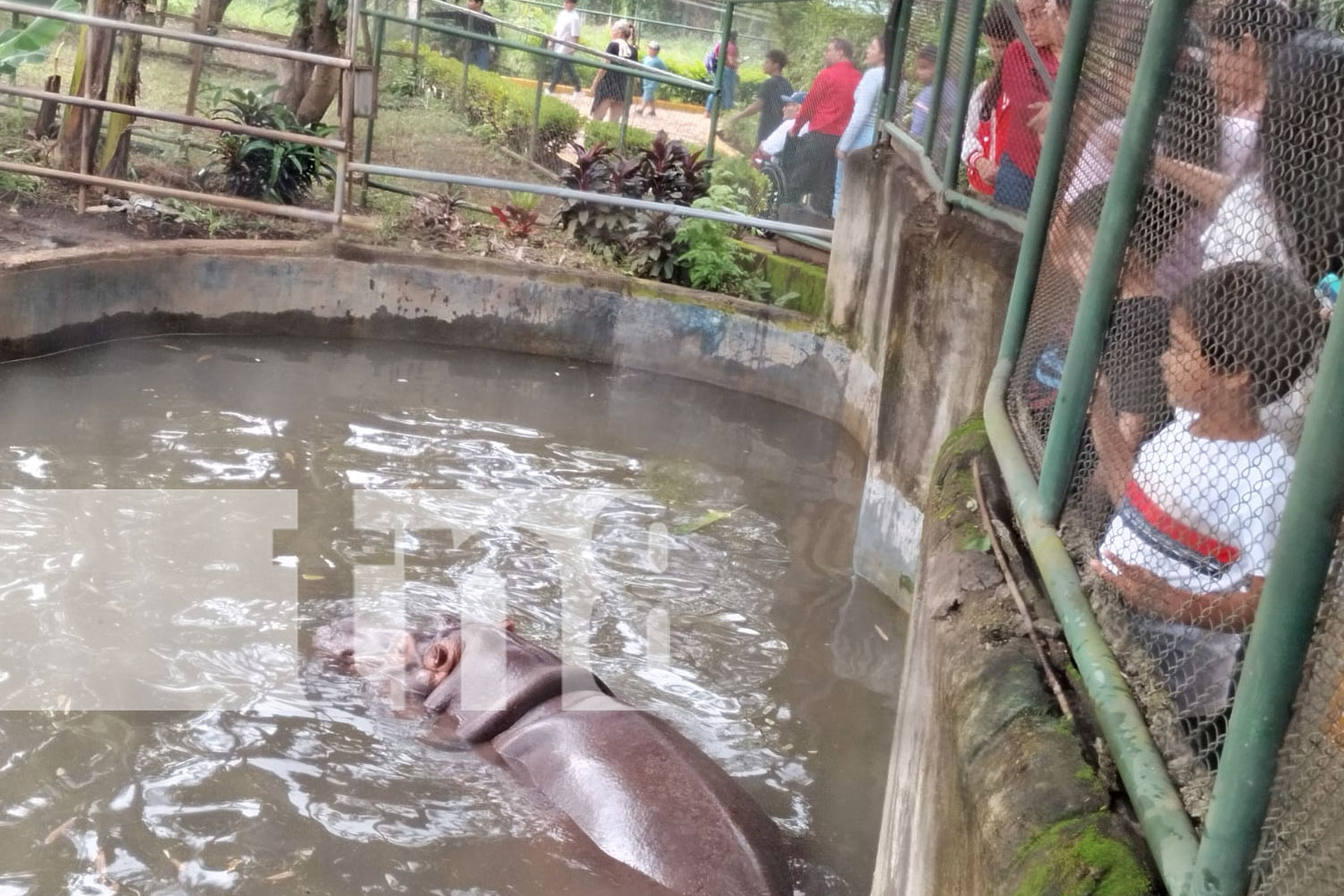 Foto: Zoológico en Nicaragua ubicado en el kilómetro 16/TN8