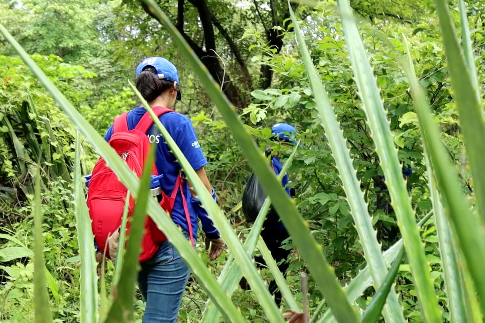 Foto: Tigo Nicaragua promueve la Sostenibilidad Ambiental para las Futuras Generaciones