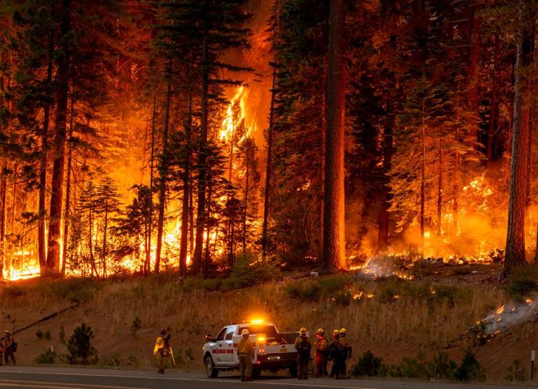 Foto: Miles de bomberos combaten el mayor incendio del año en California/Créditos